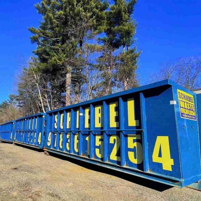 A row of blue large schiebel waste branded roll off dumpsters in the fall time